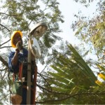 Manutenção de predios Jundiai SP